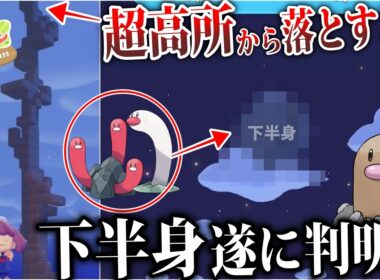 【唯一の方法】超絶高層建築を使って『ディグダ族の下半身』を強引に見たいという検証が闇深すぎた【検証/ぽこあ歴史/風波】