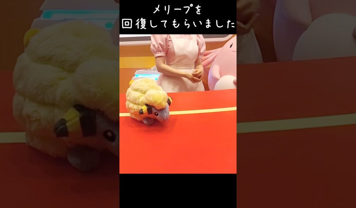 ポケパーク カントーでメリープを回復してもらいました