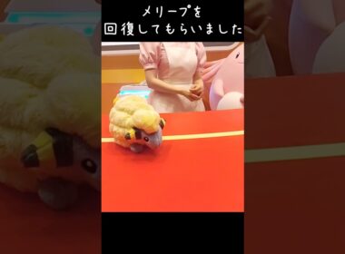 ポケパーク カントーでメリープを回復してもらいました
