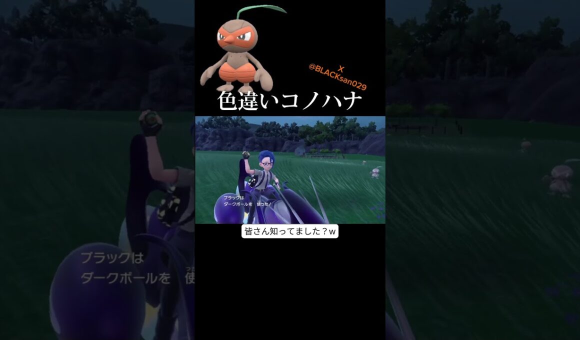 【ポケモンSV】やっぱデザイン良いな〜 #ポケモンsv #ポケットモンスター #色違い #色違い厳選 #碧の仮面 #コノハナ #ダーテング #shorts