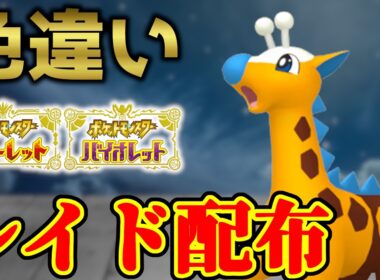 【金曜朝まで】 色キリンリキ配布 shiny raid 【ポケモンSV】#参加型配信