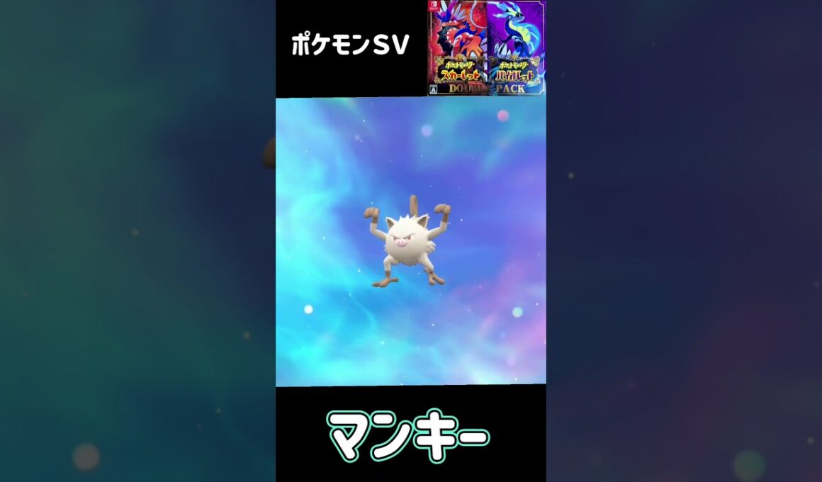 マンキー進化　オコリザル　ポケモンSV #pokemon