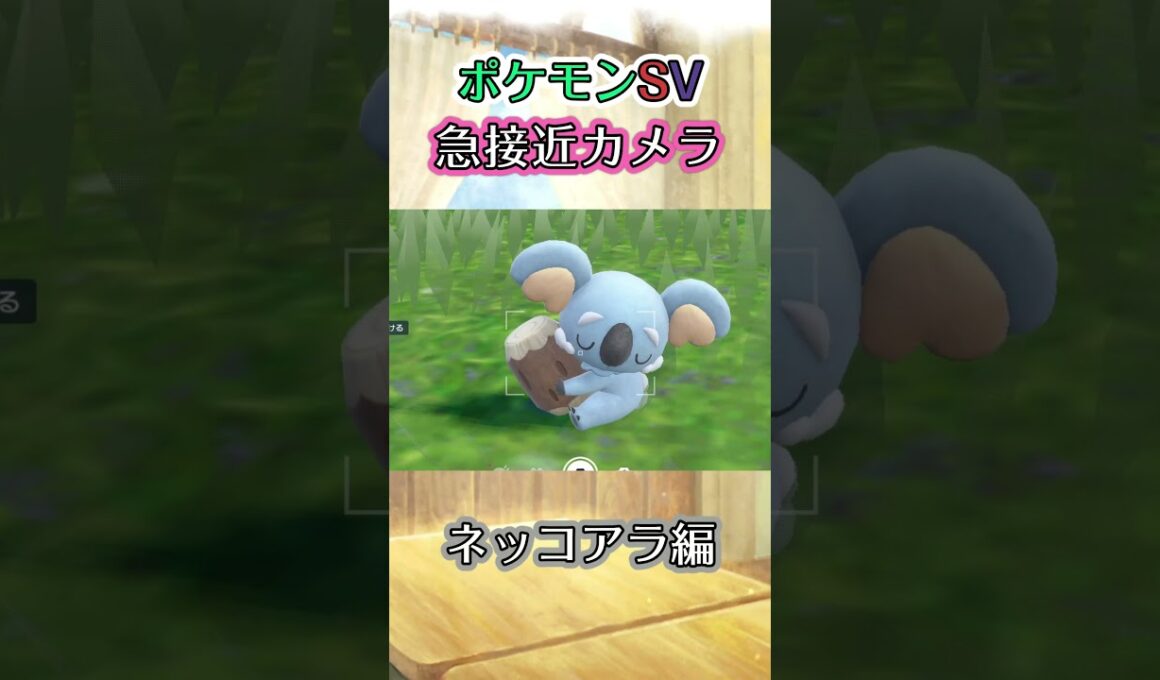 【ポケモンSV】ｽﾔｽﾔなネッコアラを近くで眺めるだけの動画 #ポケモン #ポケモンsv #ネッコアラ #shorts