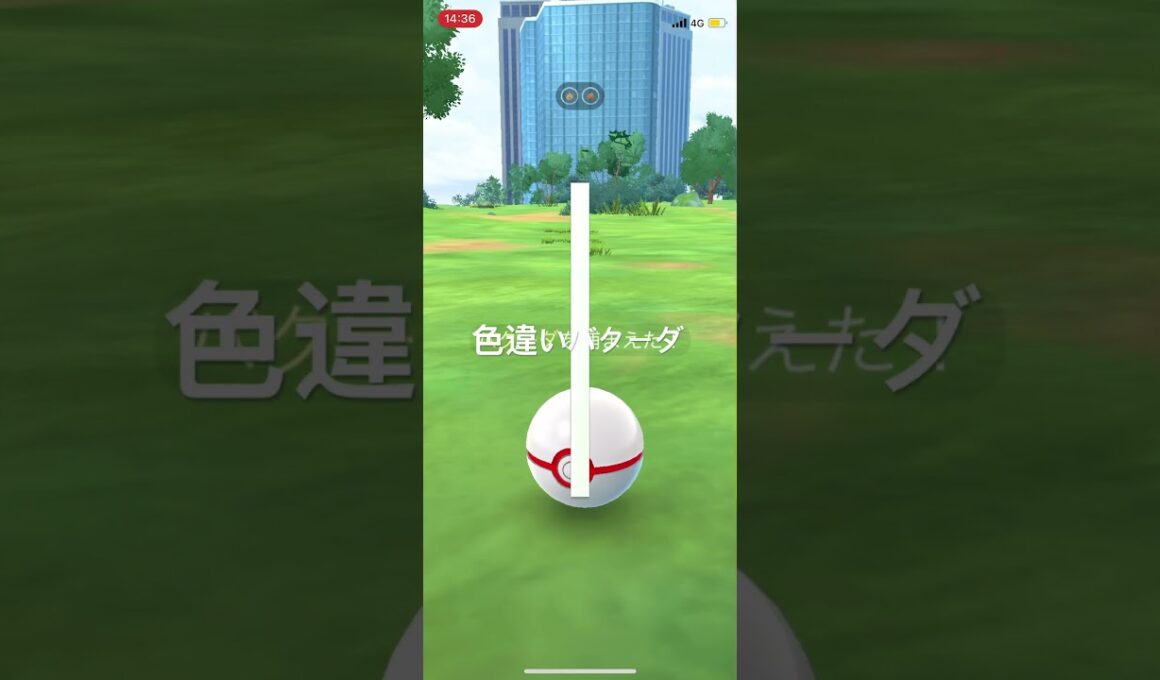 ポケモンGO 色違いバクーダ出現！ #ポケモンgo #pokémon #ポケモン #pokemongo