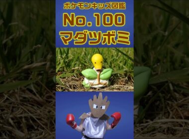 ポケモン実体図鑑No 100マダツボミ #ポケモンキッズ#マダツボミ