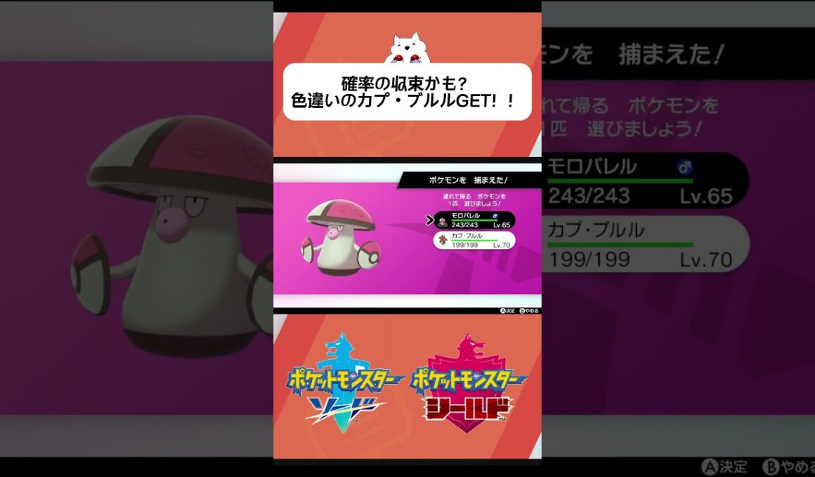 【ポケモン剣盾】ぬぉぉぉぉぉぉ！！ダイマックスアドベンチャーで色違いのカプ・ブルルGET！！#ポケモン #ポケモンsv #ポケモン剣盾 #ダイアド #pokemon #ポケモン色違い #色違い厳選
