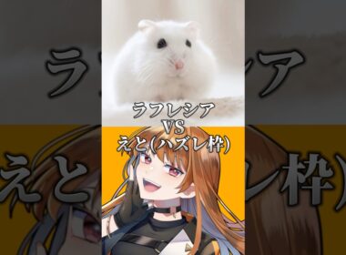 ラフレシアVSからぴち えと【強さ比べ】 #カラピチ #カラフルピーチ #ぴちりす #えと
