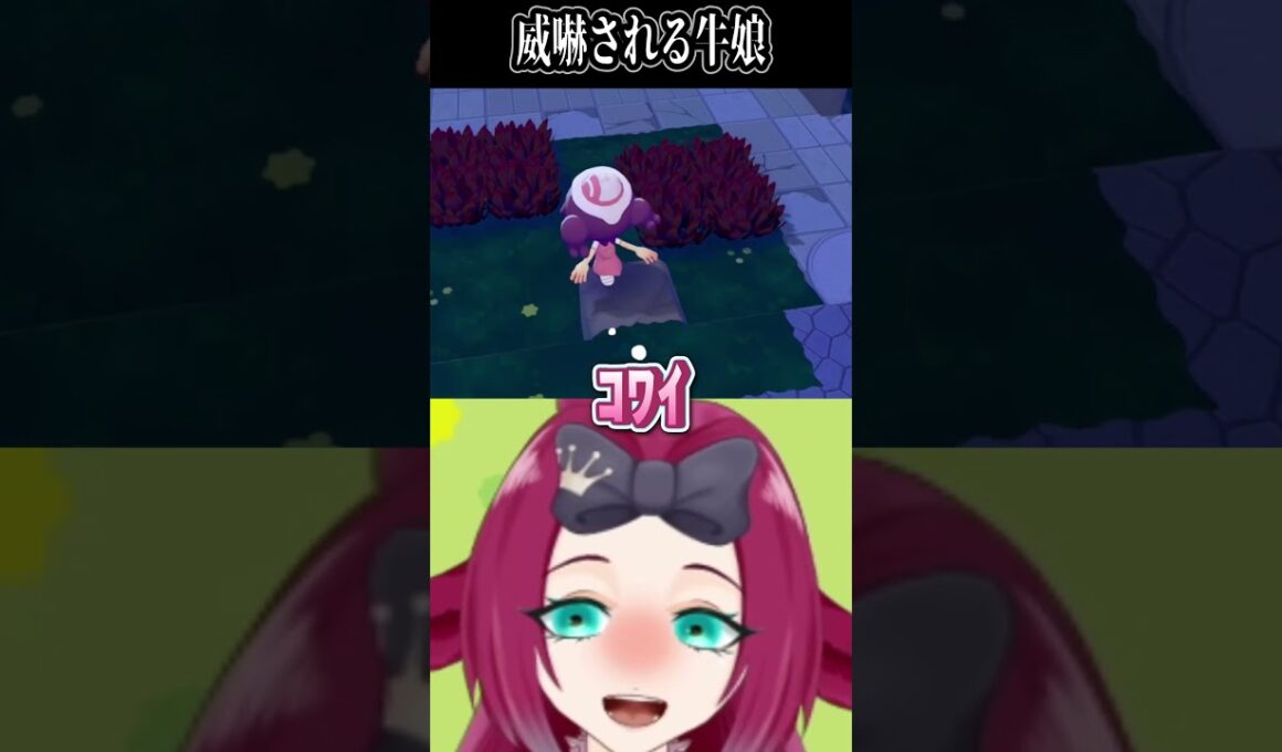 【アメモースの威嚇/#shorts  】効果は抜群だ‼【牛娘Vtuber#ホルペコ】【＃新人Vtuber】#vtuber #ぽこあポケモン  #ポケモン