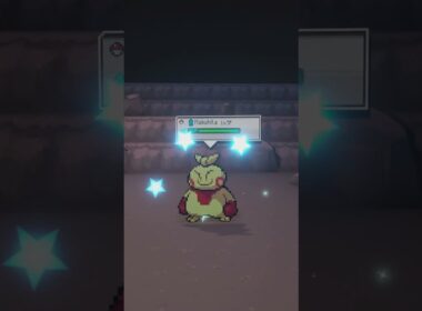 Shiny Makuhita in Pokémon Gamma Emerald #pokemon #shinypokemon #gaming