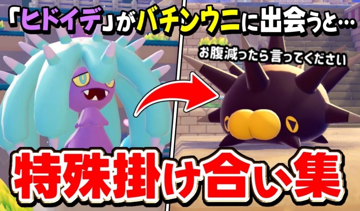 ”うみぞこの街”の特殊掛け合い集！『バチンウニが天敵ヒドイデ出会った結果・・・』【ぽこあポケモン/DLC/検証/セリフ/会話】