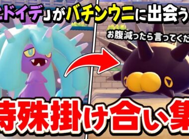 ”うみぞこの街”の特殊掛け合い集！『バチンウニが天敵ヒドイデ出会った結果・・・』【ぽこあポケモン/DLC/検証/セリフ/会話】