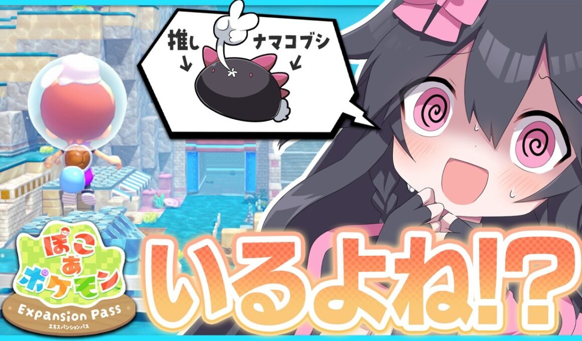 【5年未登場】情報遮断でナマコブシを探す！！！【ぽこあアプデ】