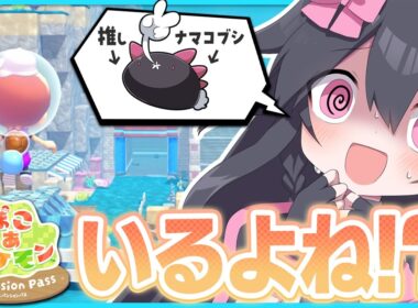 【5年未登場】情報遮断でナマコブシを探す！！！【ぽこあアプデ】