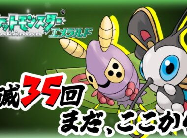 2匹の旅は、まだ終わらない。【ケムッソ2匹縛り】 #3