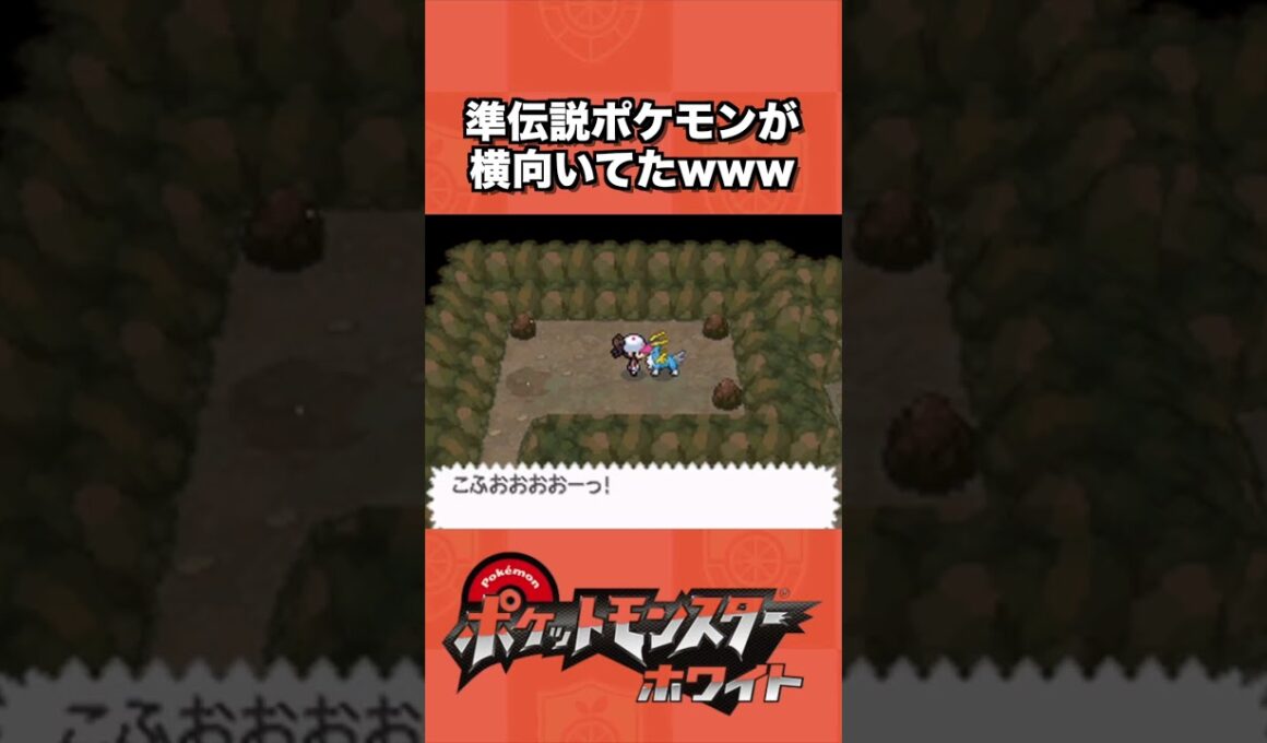 準伝説ポケモンが横向いてたwwww