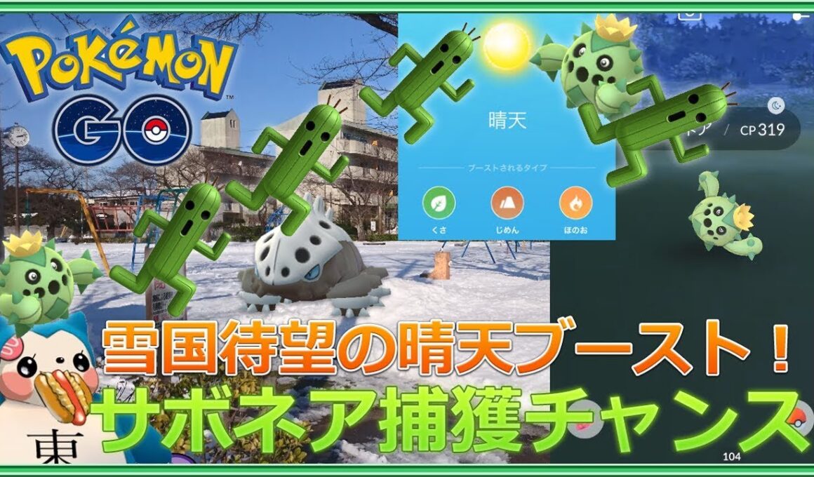 【ポケモンGO】雪国待望の晴天ブーストでサボネア捕獲チャンス＆野生コドラ？
