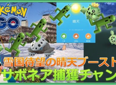 【ポケモンGO】雪国待望の晴天ブーストでサボネア捕獲チャンス＆野生コドラ？