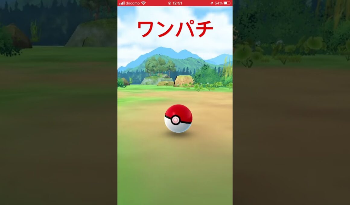 ワンパチ