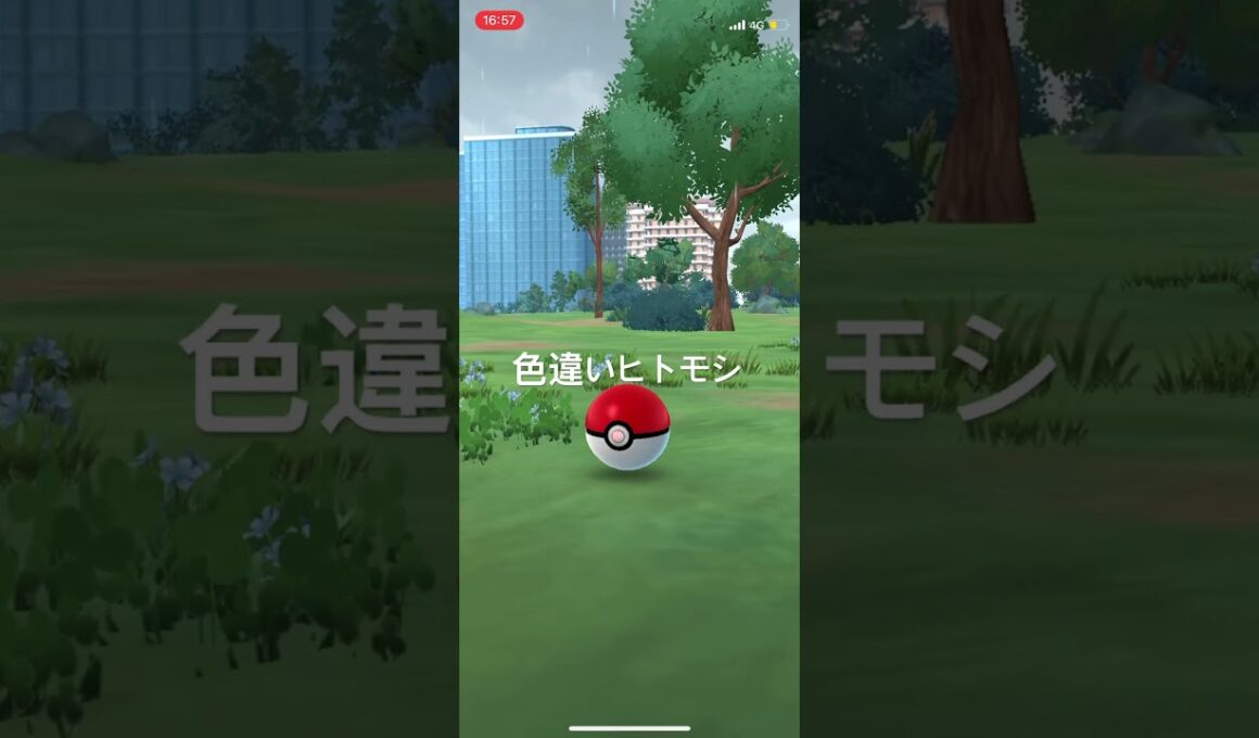 ポケモンGO 色違いヒトモシ出現！ #pokémon #ポケモン #ポケモンgo