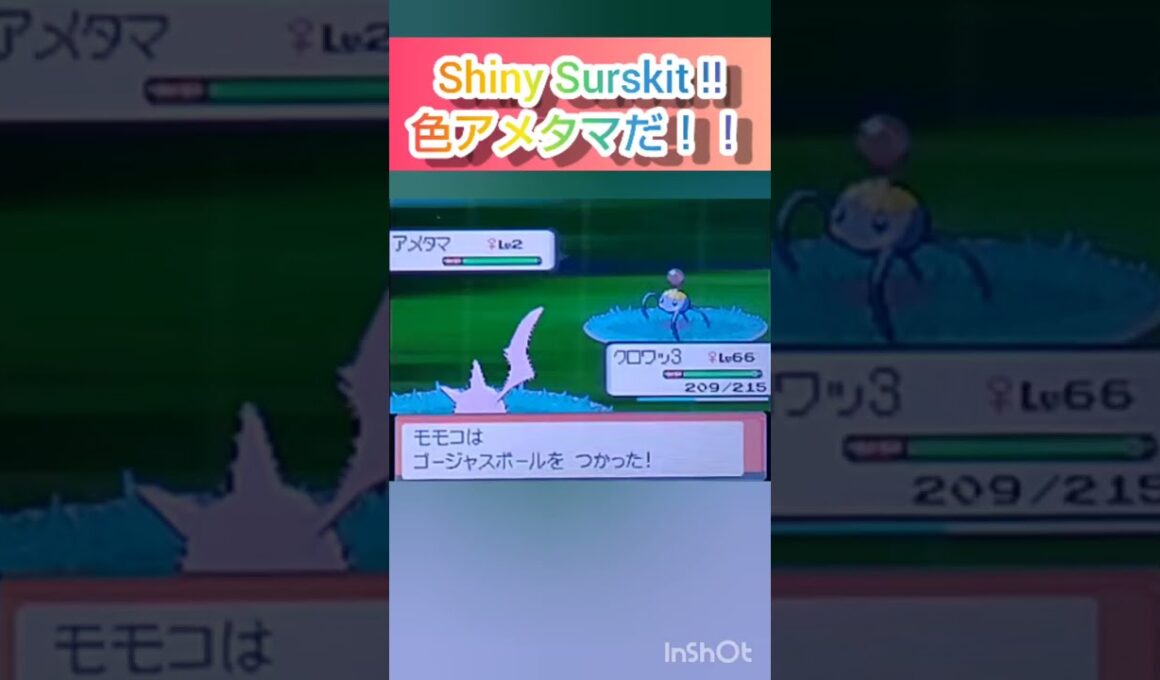 【ポケモンDP】色違い捕獲日記　56日目　アメタマ　【PokémonDP】The diary Capturing shiny Pokémon's　Day56　Surskit　#shorts