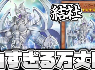 【遊戯王】 万丈目ホワイトサンダーを象徴する地味再現カード 『アームド・ドラゴン LV10－ホワイト』 【ゆっくり解説】