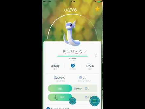 ポケモンGO　147-148 ミニリュウからハクリューへの進化。 Pokémon Go Dratini evolution.