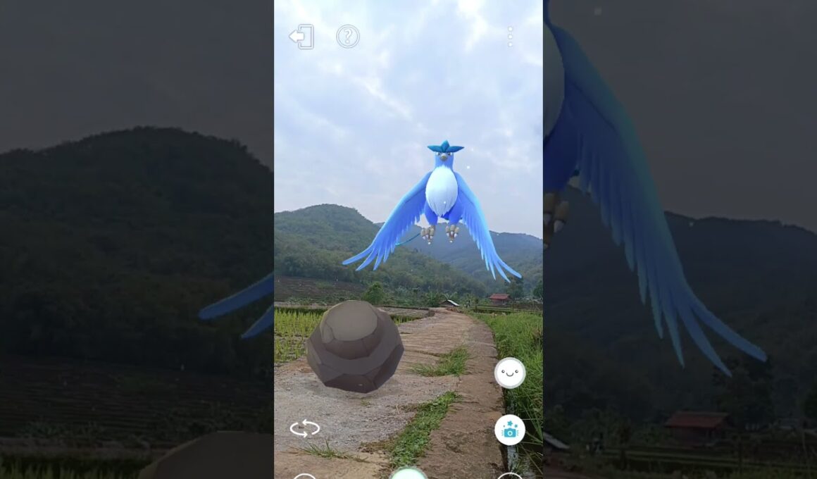 Ice Brid Vs Rock Hermit Crab  Pokemon #237 #pokemon #ポケモン