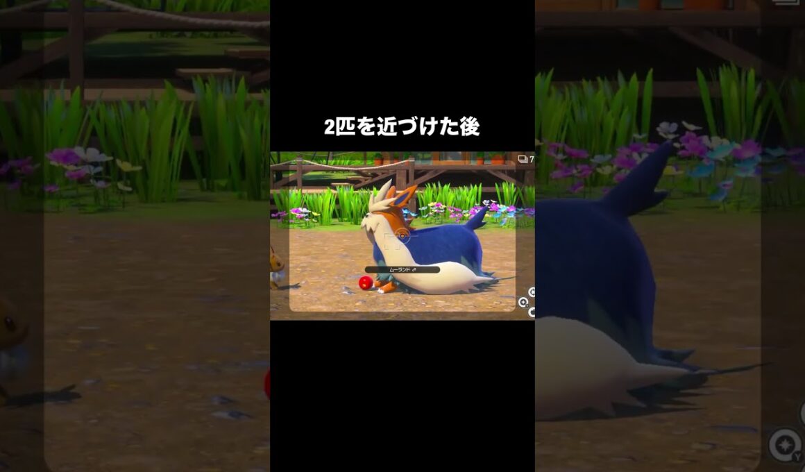 嬉しくてとびはねてしまうイーブイ #ポケモン #newポケモンスナップ