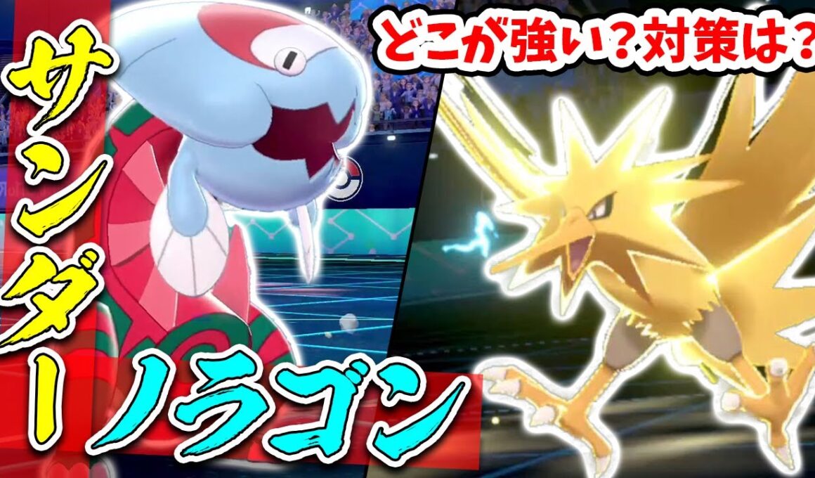今さら聞けない！サンダー＆ウオノラゴンの‘’サンダーノラゴン‘’構築を解説！【ポケモン剣盾】【冠の雪原】