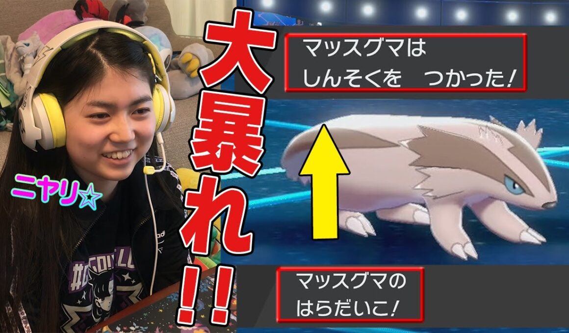 はらだいこマッスグマで全抜きしたい！【ポケモン剣盾】