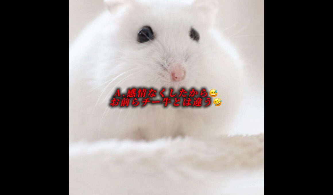 なぜコメ欄を荒らせるんですか？ #デデデの鬼太郎 #クラスティック #荒らし