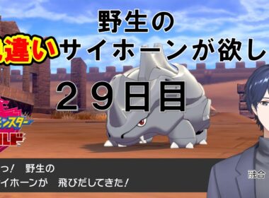 【ポケモン盾】色違いサイホーンを捕まえたい【雑談・Vtuber】