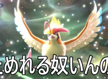 技が必中になるメガピジョットが強すぎる。ガチゴラスも出るぞ!!【Pokémon Champions】