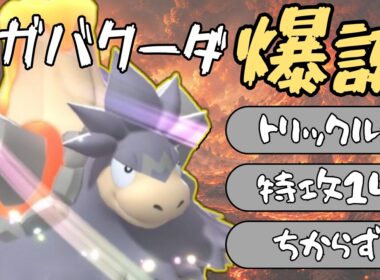 【決まれば止まらない！】命がけムクホーク+トリルメガバクーダが厄介すぎる！【ポケモンチャンピオンズ ダブル】