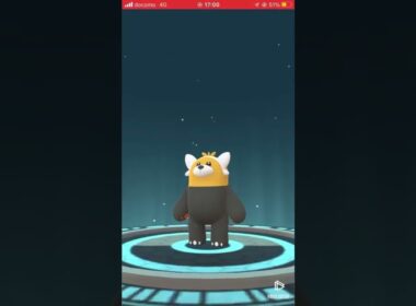 最終進化が有名なリ〇🐻に似てる色違いヌイコグマ