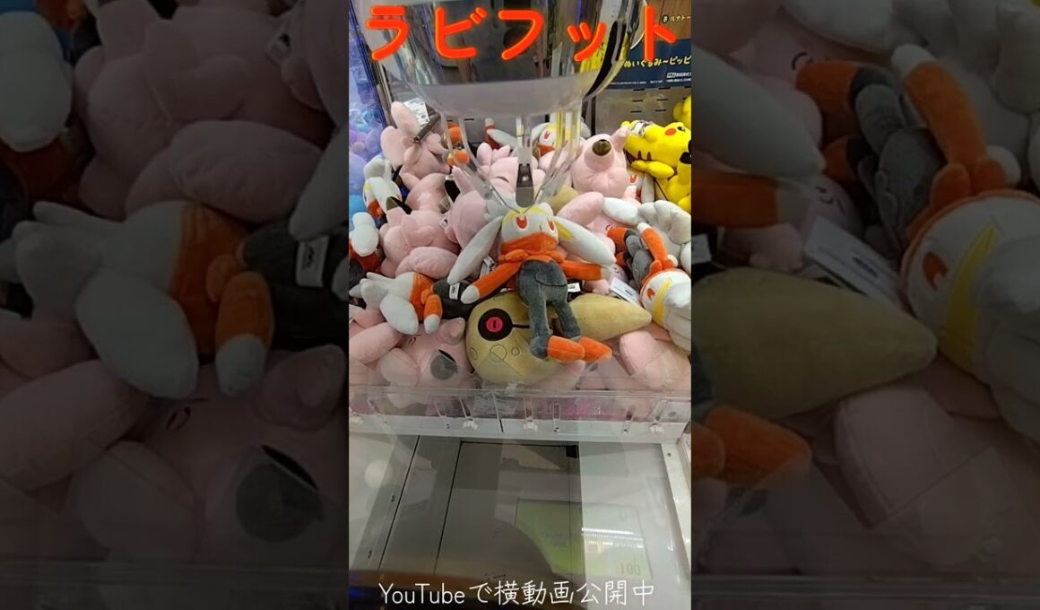 #クレーンゲーム #攻略 #ポケモン #ポケモン30周年 #ラビフット