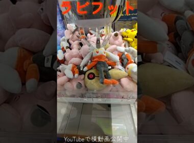 #クレーンゲーム #攻略 #ポケモン #ポケモン30周年 #ラビフット