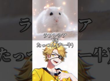 ラフレシアVSからぴち たっつん【強さ比べ】 #カラピチ #カラフルピーチ #ぴちりす #たっつん