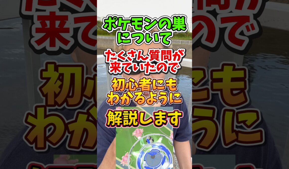 【重要】⚠️勘違い多発⚠️誤解注意！ポケモンの巣について初心者にもわかるように解説します！タブンネの巣やミツハニーの巣についても【ポケモンGO】#ポケモンGO #島名なまし　#ポケモンの巣