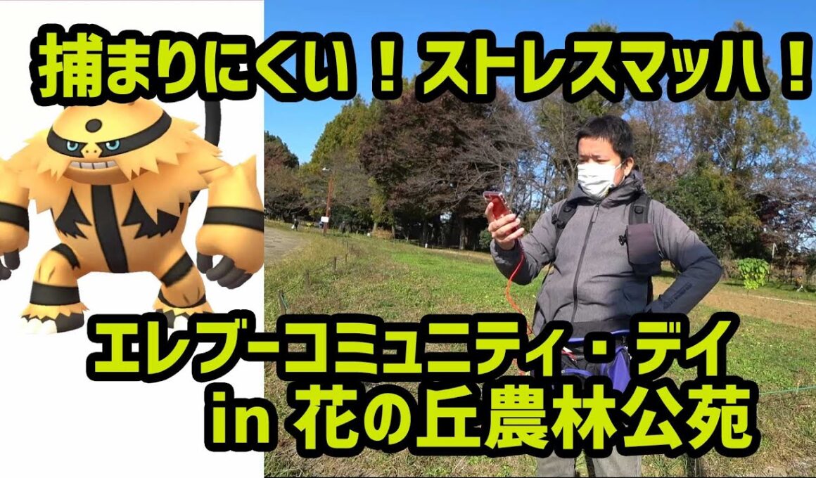 【ポケモンGO】捕まりにくい！ストレスマッハ！エレブーコミュニティデイ in 花の丘農林公苑