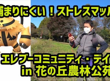 【ポケモンGO】捕まりにくい！ストレスマッハ！エレブーコミュニティデイ in 花の丘農林公苑