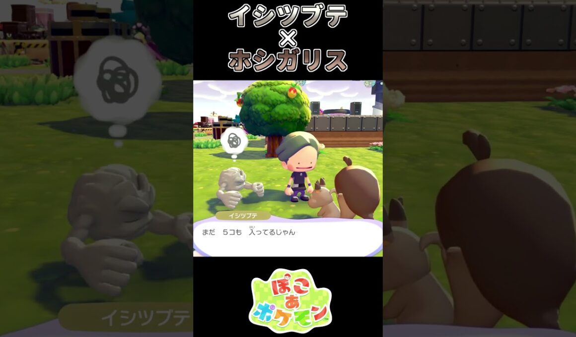 【ぽこあポケモン】 岩すら食べそうなホシガリス【ポケモン】
