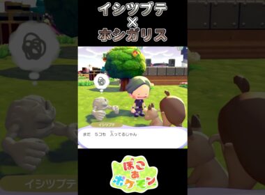 【ぽこあポケモン】 岩すら食べそうなホシガリス【ポケモン】