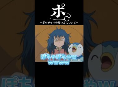 ポ。-ポッチャマの活用法について-
