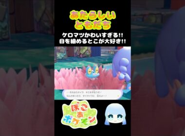 【ぽこ あ ポケモン】あたらしいともだち　ケロマツかわいすぎる！！目を細めるとこが大好き！！　#ゲーム #ゲーム実況 #ポケモン #ぽこあポケモン