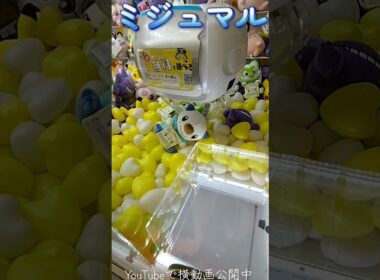 #クレーンゲーム #攻略 #ポケモン #ポケモン30周年 #ミジュマル