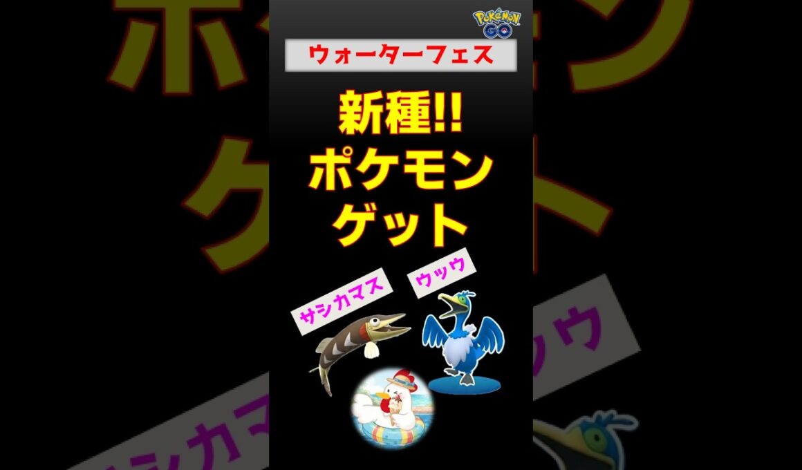 新種２種！攻略法【ウォーターフェスティバル】ウッウ、サシカマス