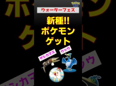 新種２種！攻略法【ウォーターフェスティバル】ウッウ、サシカマス