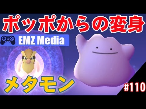 【ポケモンGO】ポッポからメタモンに変身「DITTO」スマホ用ショートムービー