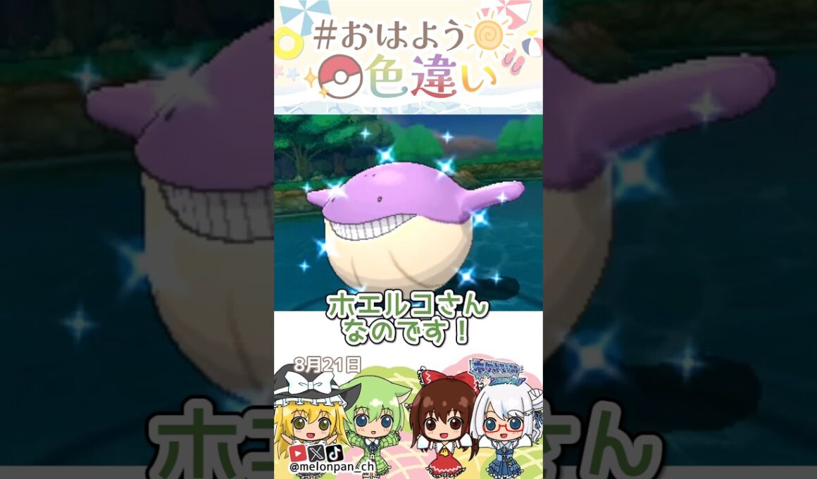☀️いっぱい食べる！！色違いホエルコ⛲️✨2026年8月21日 #おはよう色違い #おは色 #ポケモン